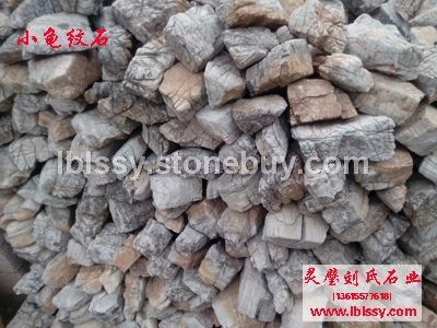 龟纹石 盆景龟纹石 龟纹石价格 龟纹石产地