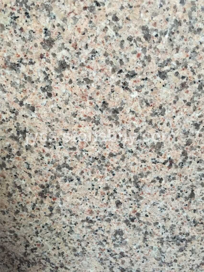 粉紅麻1