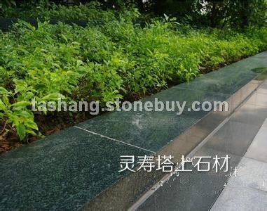 森林绿