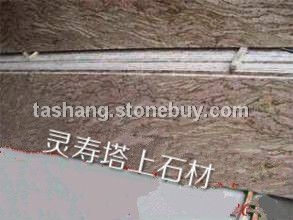 加州红龙