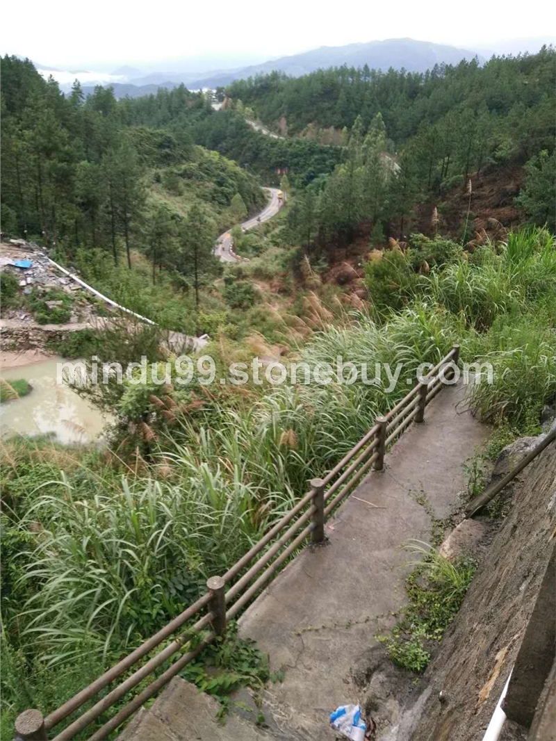 闽都5