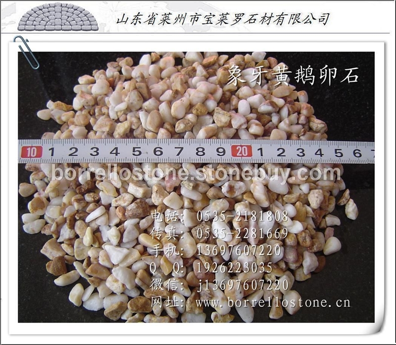 象牙黃鵝卵石 磨圓石米