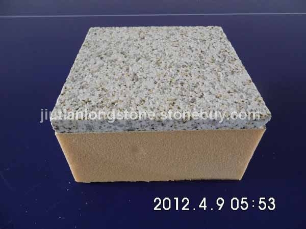 DSCI0821
