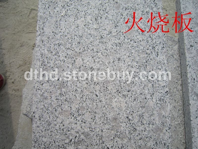 G383珍珠花
