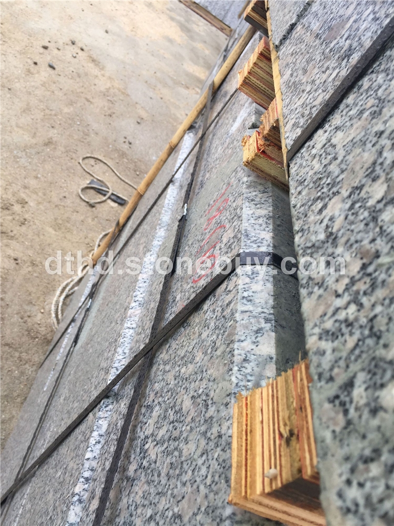 G383珍珠花