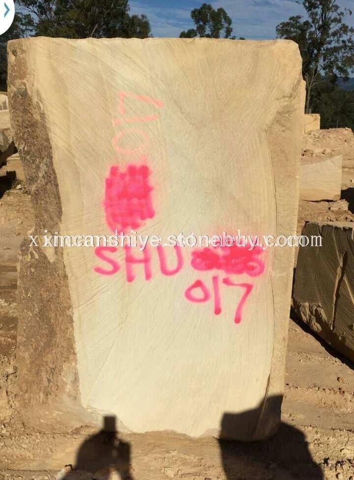 澳洲砂岩荒料（棕木纹）