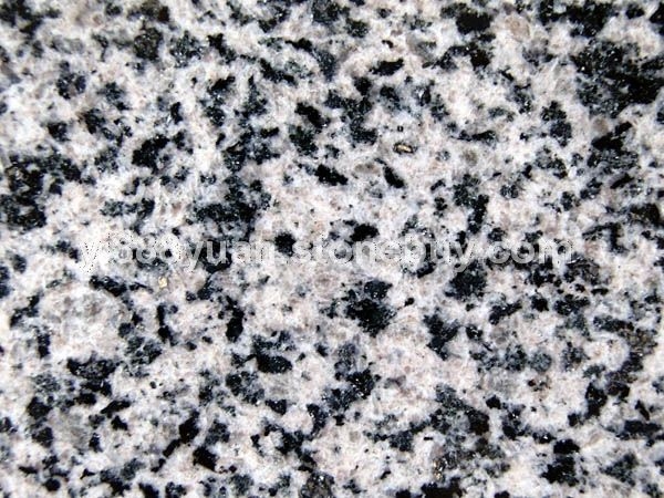 芝麻黑-3