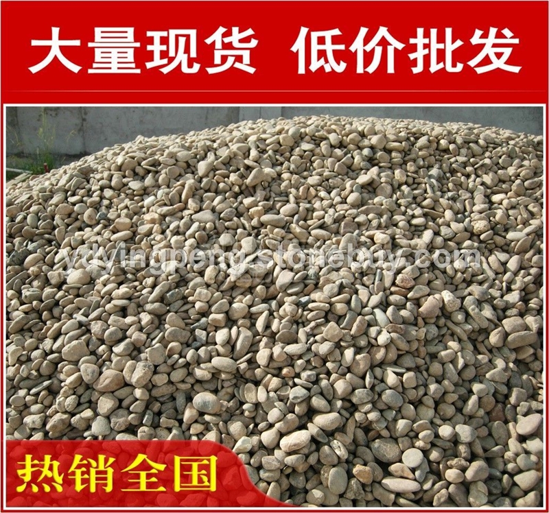 廣東天然鵝卵石，造型獨特東莞鵝卵石大量現(xiàn)貨批發(fā)