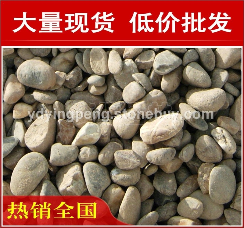 廣東天然鵝卵石，形態(tài)各異廣東鵝卵石大量現(xiàn)貨批發(fā)