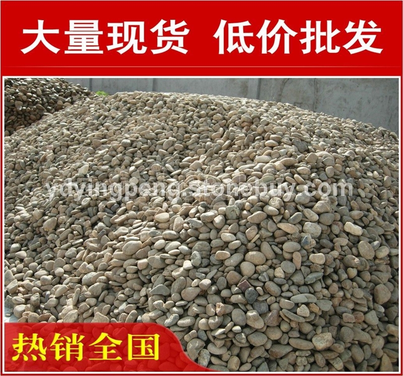 廣東天然鵝卵石，生態(tài)水景惠州鵝卵石大量現(xiàn)貨批發(fā)