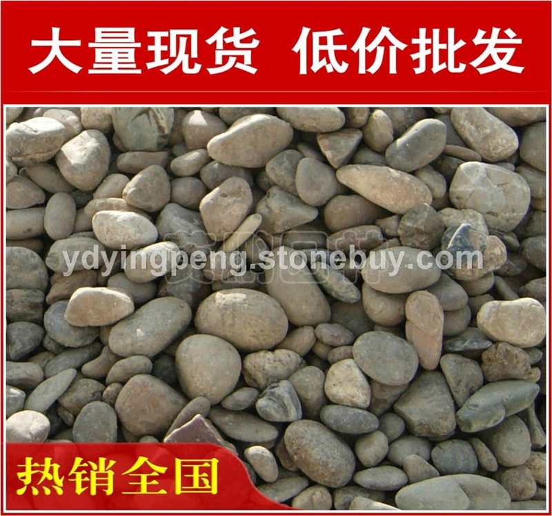 廣東天然鵝卵石，樓盤景觀中山鵝卵石大量現(xiàn)貨批發(fā)