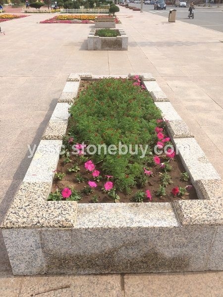 花池02 图片