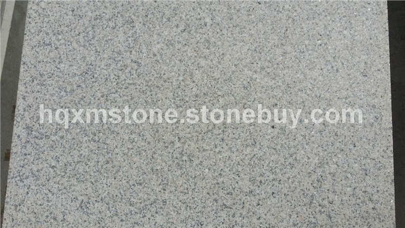 G681, G681, 虾红， 漳浦虾红， 漳浦681