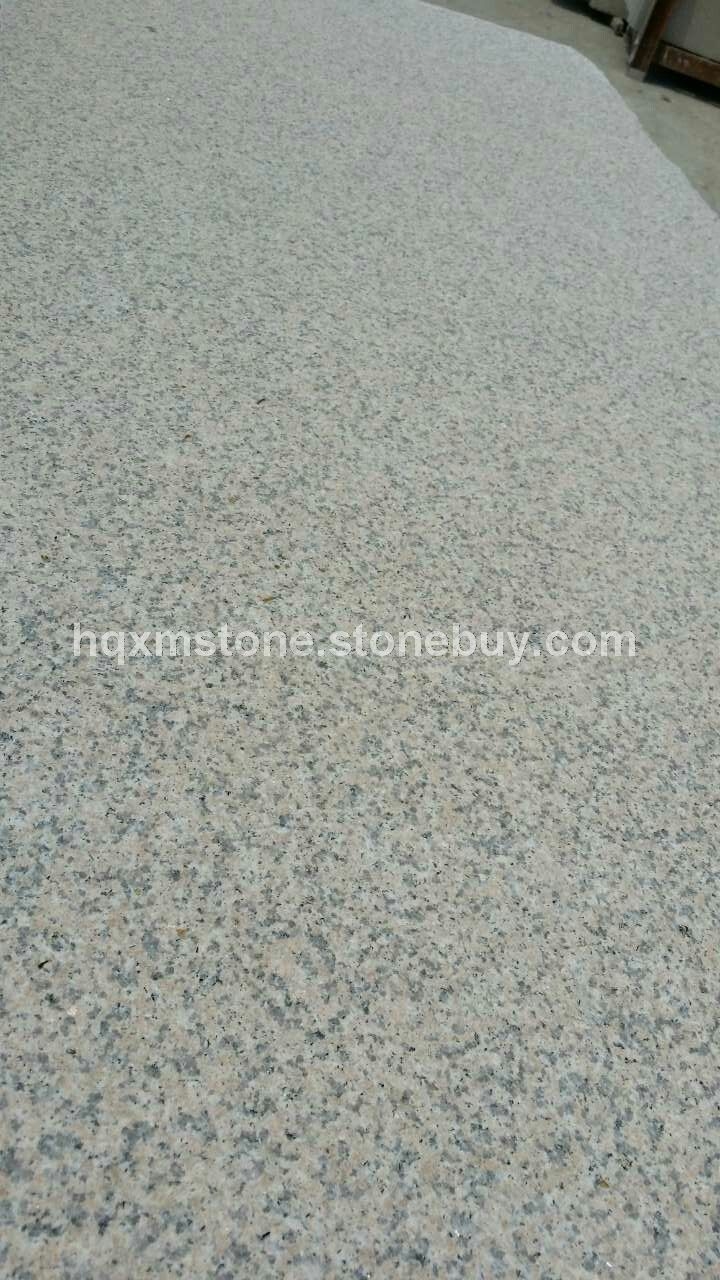 G681, G681, 虾红， 漳浦虾红， 漳浦681