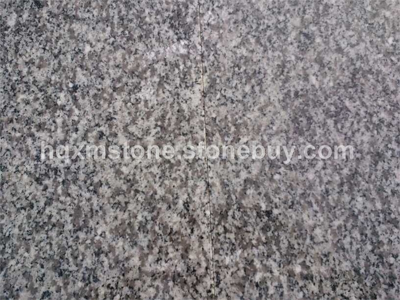 芝麻白，芝麻灰， 漳浦623