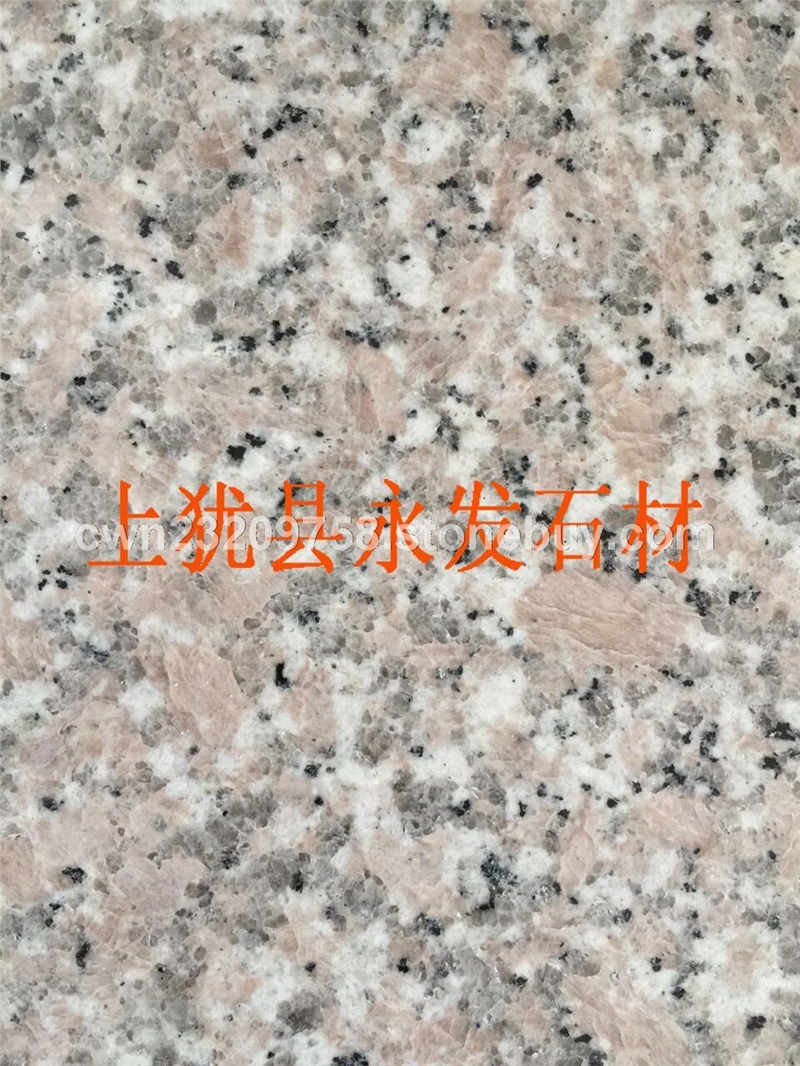 安溪红-(5)