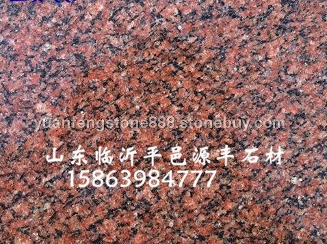 将军红1