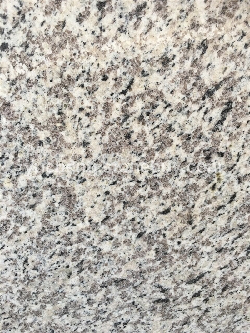 虎皮白