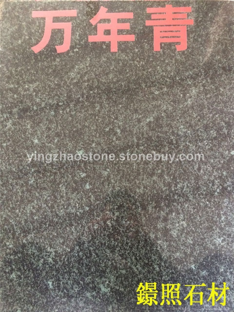 万年青2