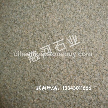 柏坡黄（荔枝面）