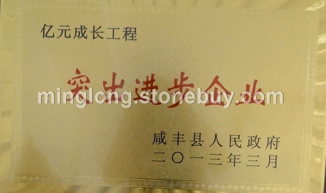 企業(yè)資質(zhì)4