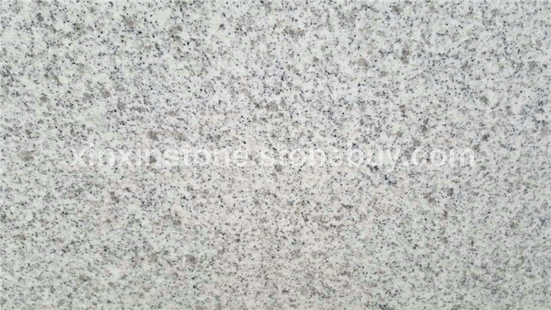 G303 (1)