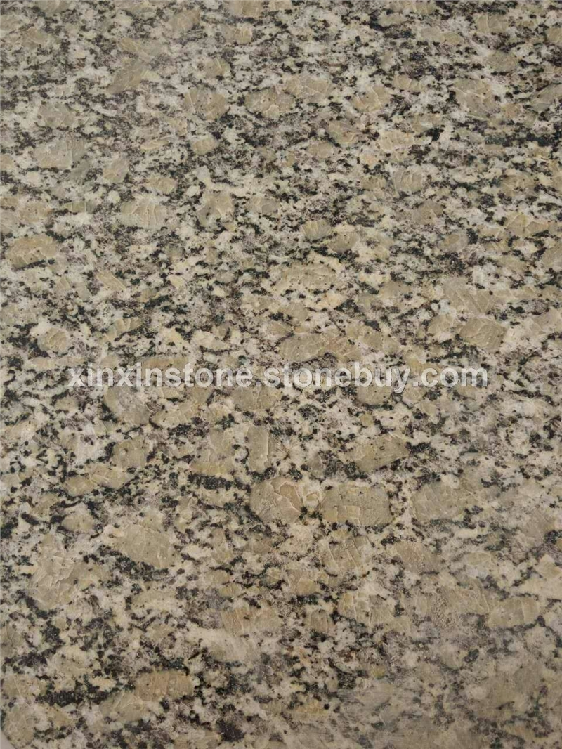 金钻麻