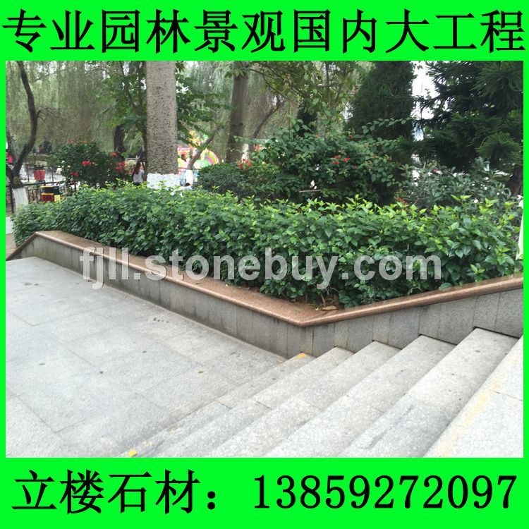 G654 地铺石 压顶砖