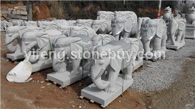 惠安603芝麻白大象批发零售 崇武石雕大象工厂