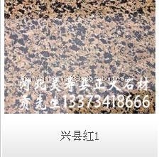 兴县红1