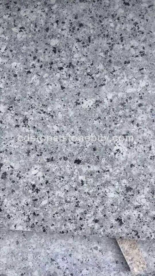 水头珍珠兰石材大量批发