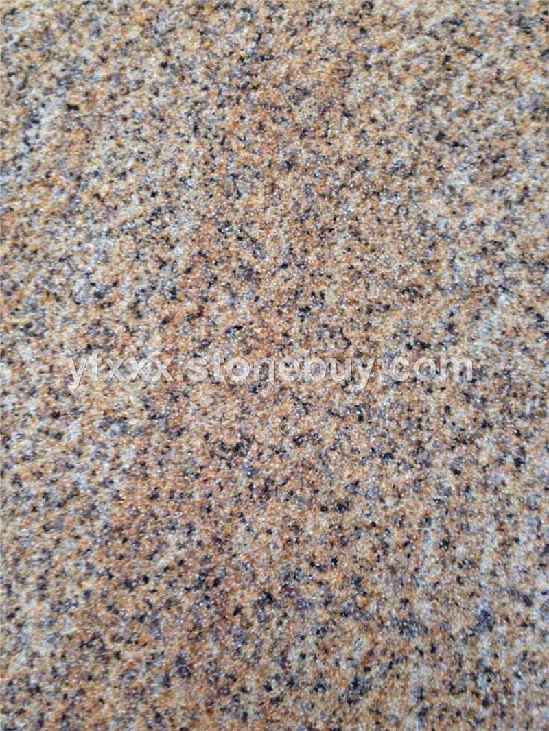 金麻黄黄泽石荔枝面