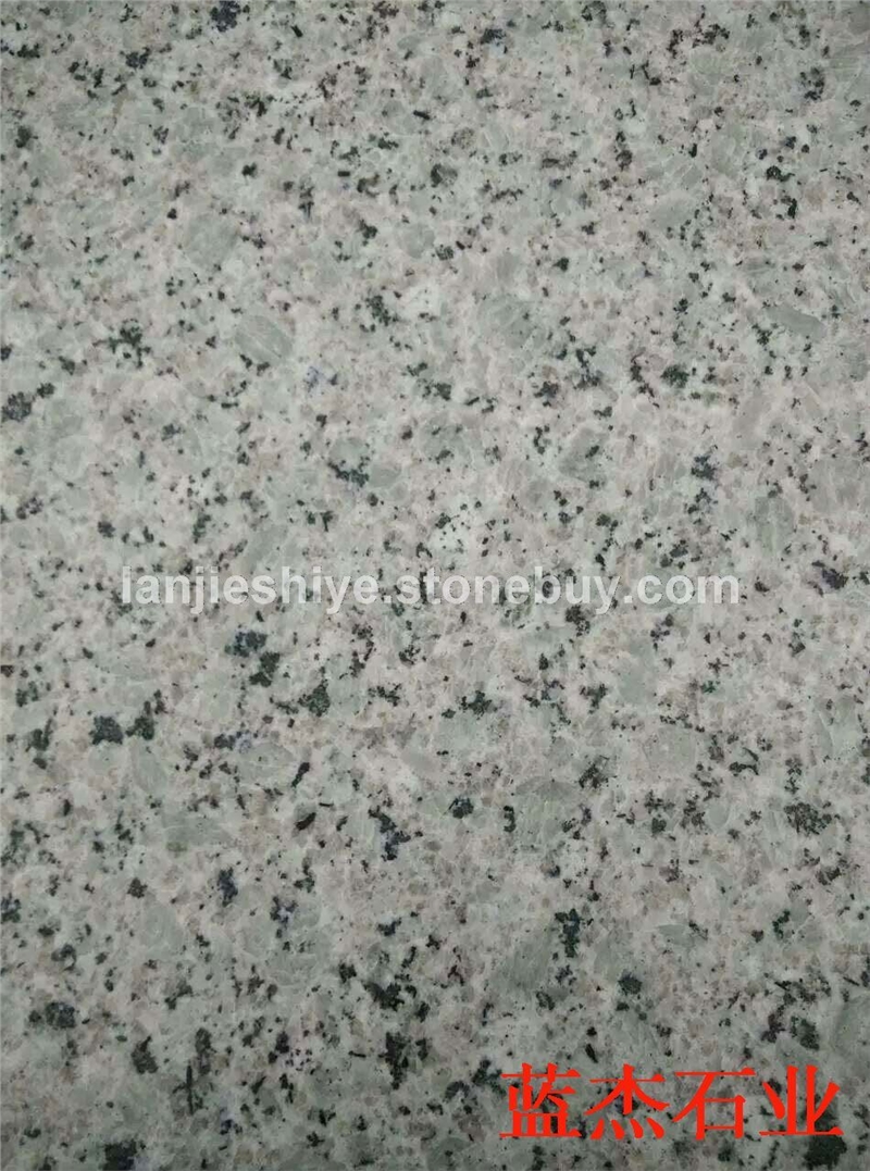 玉蘭白麻1