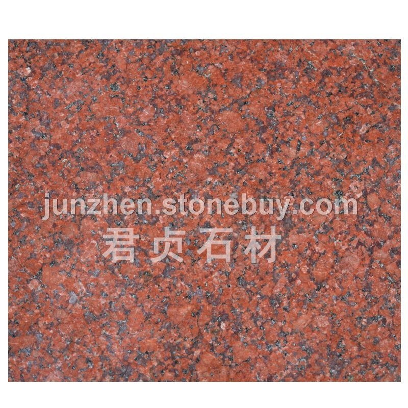 大花印度红