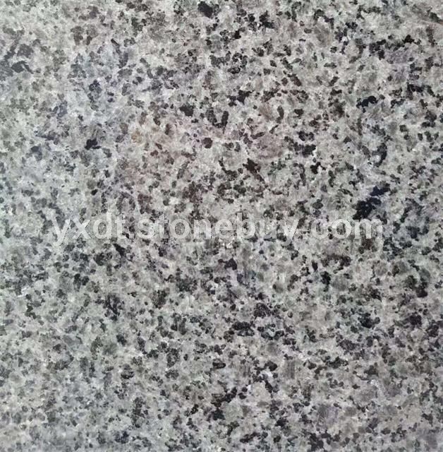 灰麻