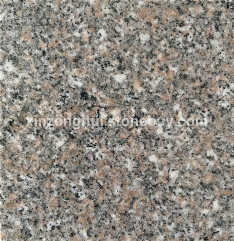 虾红G681