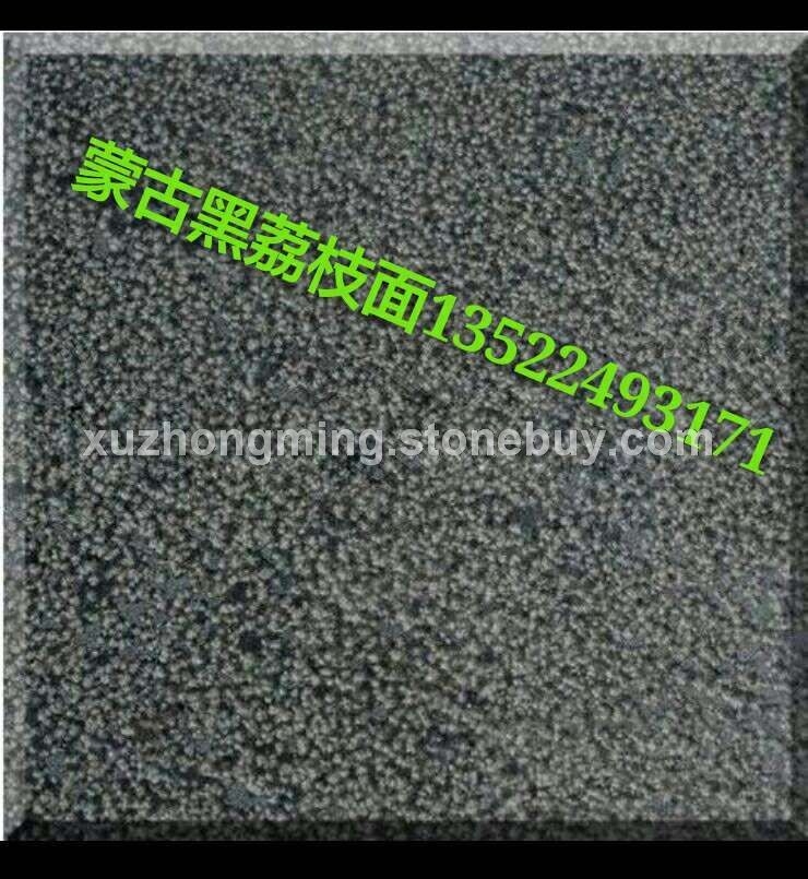 蒙古黑荔枝面