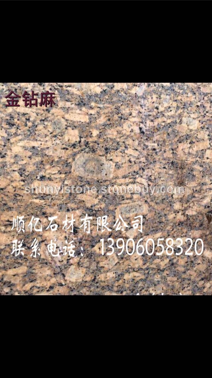 金钻麻