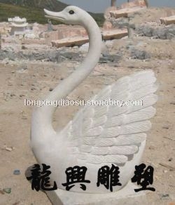 天鵝