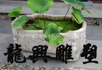 花盆11