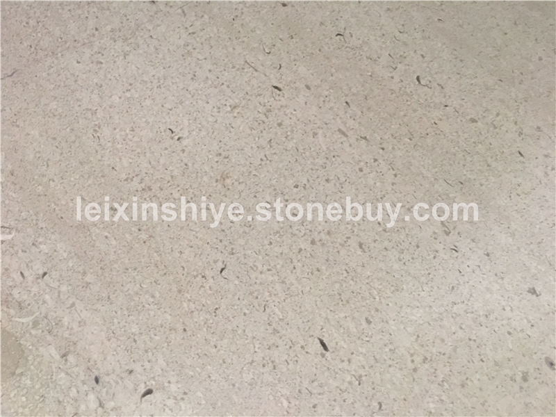 卡洛灰（夜巴黎） 3