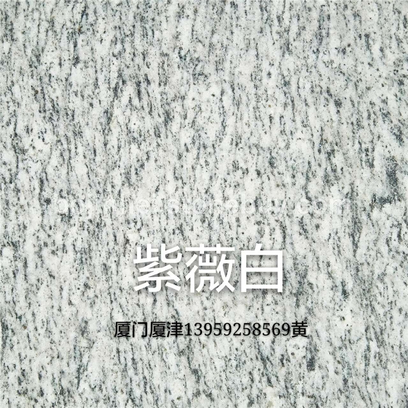 紫薇白