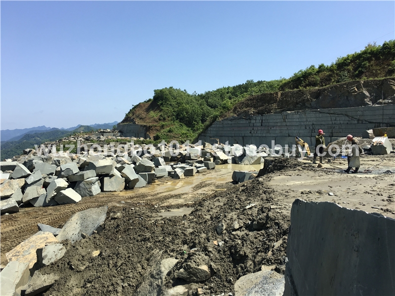 秦(qin)巴墨綠王(wang)