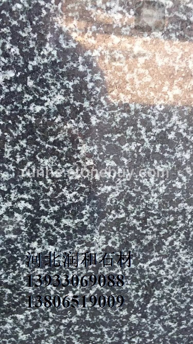 森林绿光面