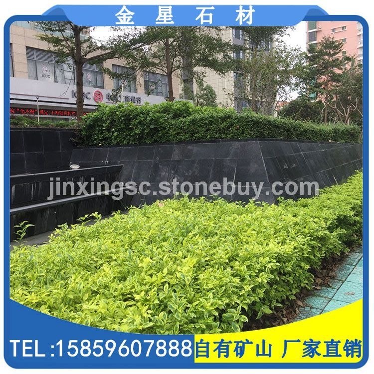 芝麻黑抛光面板材 花围树围压顶石 贴面砖 G654