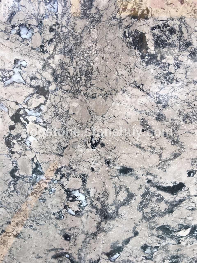 灰太狼巴赛灰 4