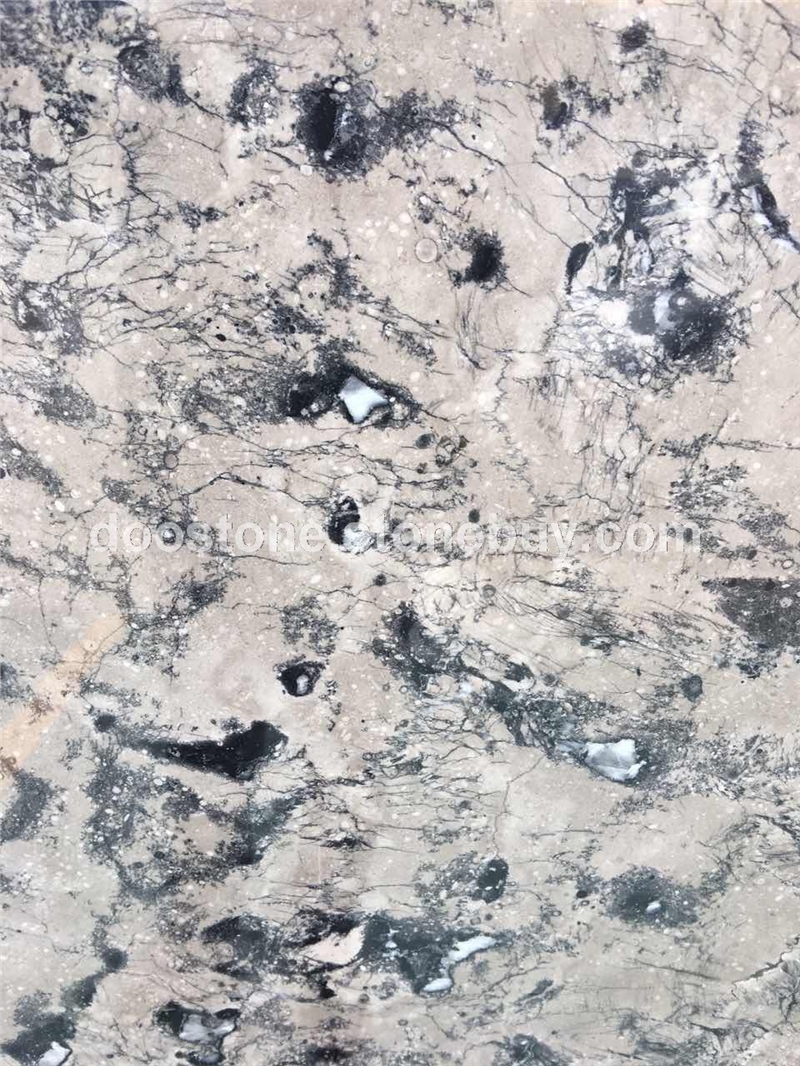 灰太狼巴赛灰 6