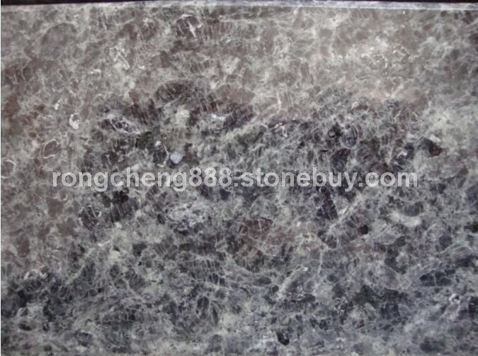 冰花兰、冰花蓝