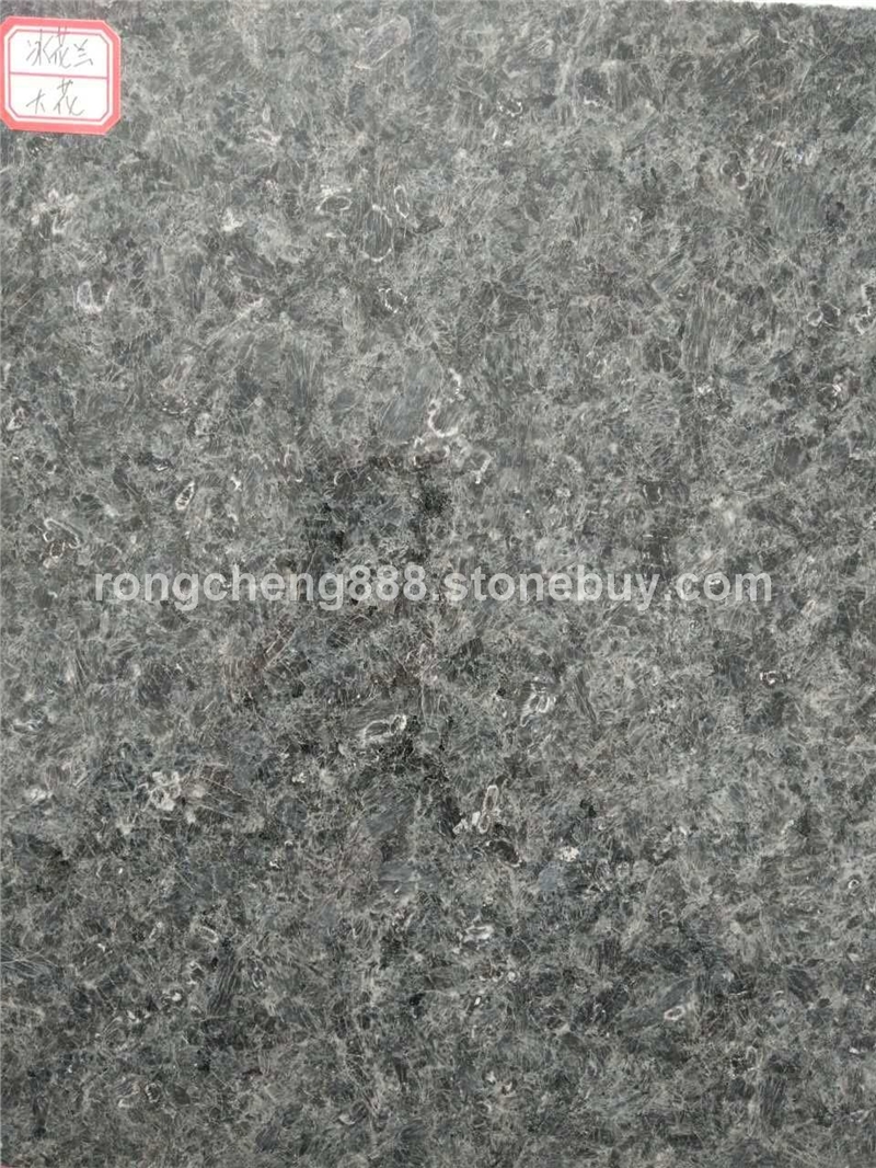 冰花兰、冰花蓝