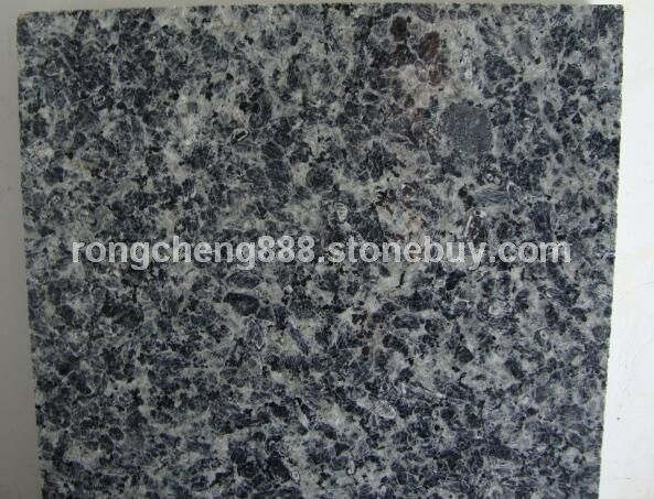 太平洋兰、太平洋蓝